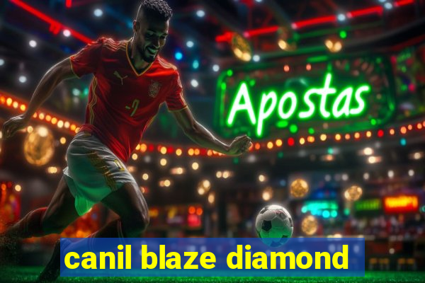 canil blaze diamond